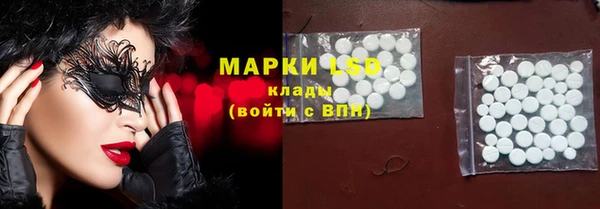 прущие грибы Армянск