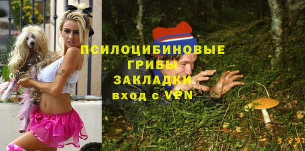 МДМА Арсеньев