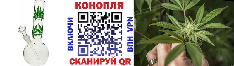 Канабис гибрид  Купить где  Тбилисская 